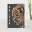 Search for bison birthday cards Nature