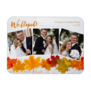 Search for fall leaf magnets Seasonal