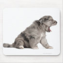 Search for dogs mousepads Domestic animals