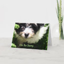 Search for pet sympathy cards Puppy