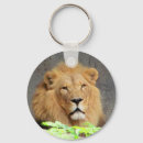 Search for lion king key rings Zoo