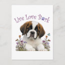 Search for st bernard postcards Cute
