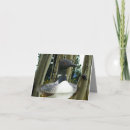 Search for loon cards Bird