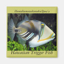 Search for state magnets Tropical