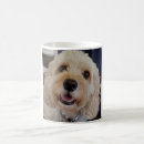 Search for cavapoo mugs Cockapoo