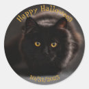 Search for evil cat stickers Spooky