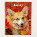 Search for corgi office supplies Animal