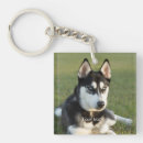 Search for husky key rings Cute