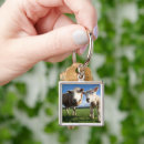Search for livestock key rings Cute baby animal