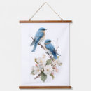 Search for bluebird art Birds