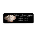 Search for scallop return address labels Shell