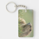 Search for marmot key rings Rodent