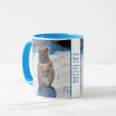 Search for beach boys mugs For kids