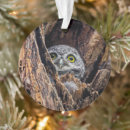 Search for birds nest christmas tree decorations Forest