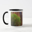 Search for smith mugs Nature