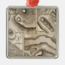Search for geology christmas tree decorations Relief