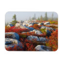 Search for west virginia magnets Outdoors