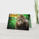 Search for gorilla photography Ape
