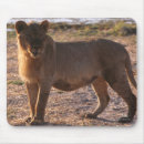 Search for lion king mousepads Feline