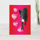 Search for border collie valentines day cards Cute