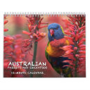 Search for parrot calendars Birds