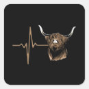 Search for scottish highlands stickers Scottish highland cow