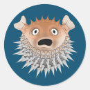 Search for orange fish stickers Ocean