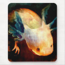 Search for salamander electronics Aquatic