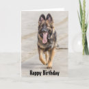 Search for alsatian cards German