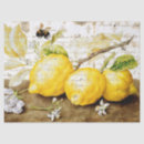 Search for lemon tissue paper Bee