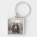 Search for basset hound key rings Animal