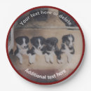 Search for puppy plates Border collie