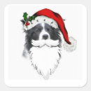 Search for bearded collie Santa