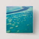 Search for queensland badges Ocean