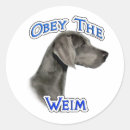 Search for weimaraner stickers Dog