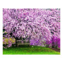 Search for garden bench art Plant