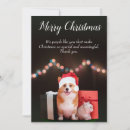 Search for corgi seasonal cards Santa