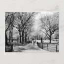 Search for central park postcards Nature