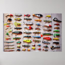 Search for lures posters Angler