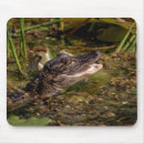 Search for amphibians mousepads Nature