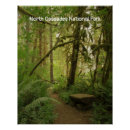 Search for cascade art Washington