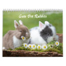 Search for bunny rabbit calendars Easter