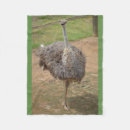 Search for emu home decor Cute