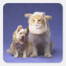 Search for cat sitting stickers Animal body part