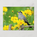 Search for marion postcards Garden