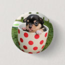 Search for mini square badges Fun