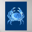 Search for crab posters Navy blue