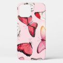 Search for tropical butterfly cases Illustration