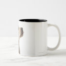 Search for tongue out mugs Photography