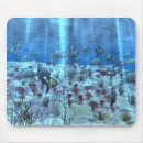 Search for undersea electronics Ocean
